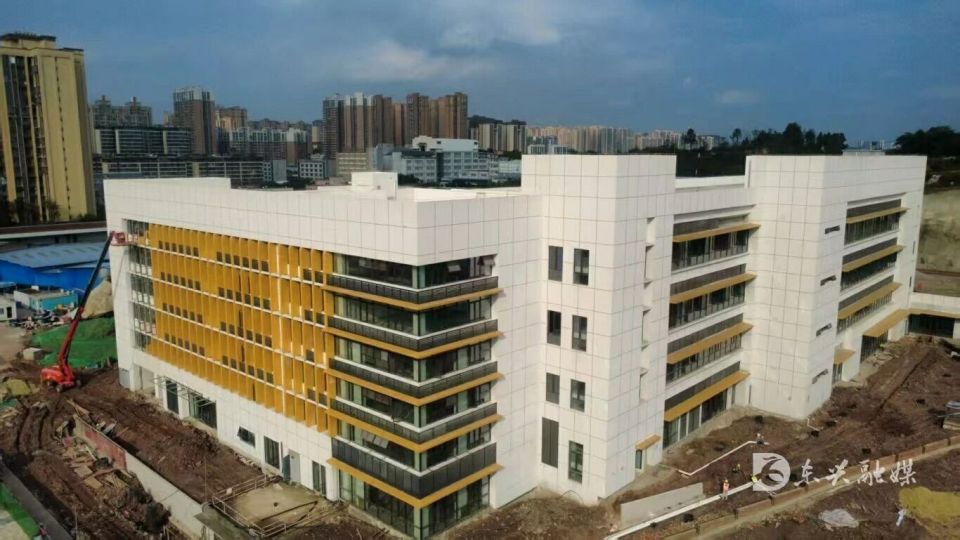 净的白色 净的白色