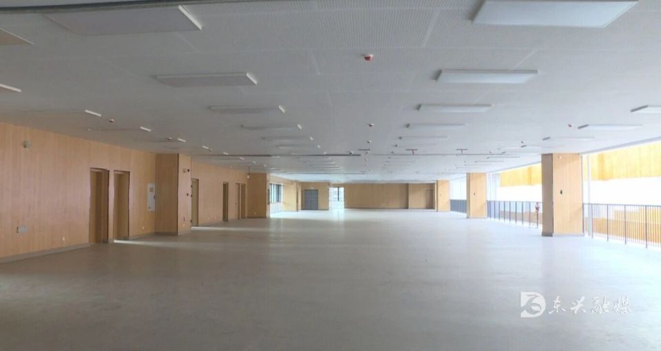 办公双重需 办公双重需